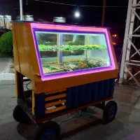 یخچال فریزر ویترینی|فروشگاه و مغازه|میانه, |دیوار