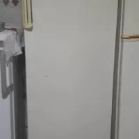 فریزر آزمایش سالم