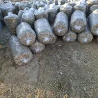 یونجه|عمدهفروشی|زنجانرود, |دیوار