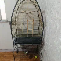 قفس طوطی وارداتی