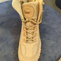 این کفش رو از امریکا برام اوردن