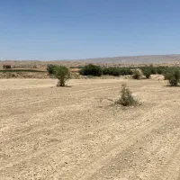 پاکسازی زمین کشاورزی از سنگ با سنگ جمع کن ترکیه ای|خدمات باغبانی و درختکاری|برازجان, |دیوار