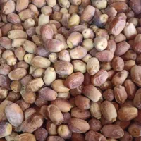 قصب زاهدی|خوردنی و آشامیدنی|شیراز, منطقه هوایی شهید دوران|دیوار