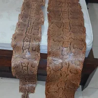 ۲عدد پوست مار پیتون وارداتی کاملا سالم|کلکسیون و سرگرمی|تهران, دروس|دیوار