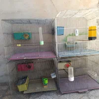 قفسدرسرابله