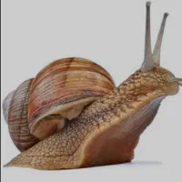حلزون