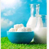 فروش شیر،دوغ محلی