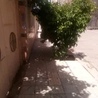فروش ویلایی|فروش خانه و ویلا|شیراز, شهرک پرواز|دیوار
