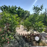 قصردشت ۳۴۴ متری درب از حیاط عرض ۱۵