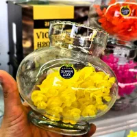 ماهی ردگپ|ماهی|شاهرود, |دیوار