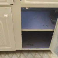 مقداری وسایل خونه|فرش|هندیجان, |دیوار