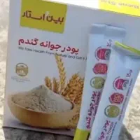 پودر جوانه گندم بین استار
