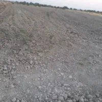 فروش-زمین-کشاورزی