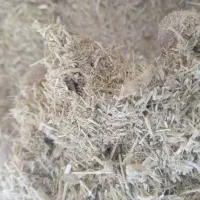 کاه کسن یک گونی