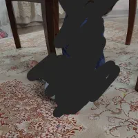 فرش ۶ متری|فرش|تهران, کیانشهر|دیوار