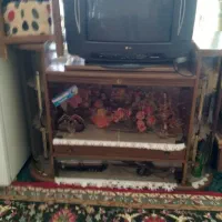 تلوزیون باضمانت