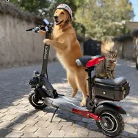 اسکوتر برقی vineer باکس دار آفرود چکی بدون پول