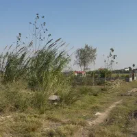 ۲۱۰ متر درحال الحاق/دابودشت/فروش یا معاوضه