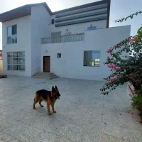 منگوده ویلاشخصی سازفاز۲ گلسار منگوده