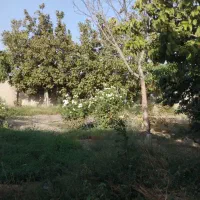 باغ در منطقه زیبادشت محمدشهر|فروش زمین و ملک کلنگی|محمدشهر, زیبادشت|دیوار