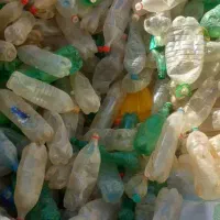 بطری یک و نیم لیتری حراج