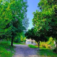 اجاره خونه باغ دربستی دوهزار متر حیاط|اجارهٔ کوتاهمدت ویلا و باغ|آستارا, |دیوار