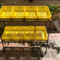 قفسه میوه