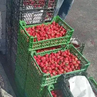 کارگر ساده