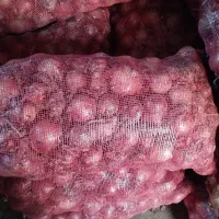 پیاز فلات بذر قوطی|خوردنی و آشامیدنی|بجنورد, |دیوار