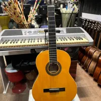 گیتارکلاسیک آریافیستاگالری موسیقی آرتیاپاساژشهرسبز