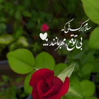 پرستار خانم ۲۴ ساعتی واسه مراقبت از مریض