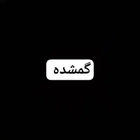کارت گمشده