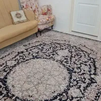 ۳تخته فرش ۹متری|فرش|ابهر, |دیوار