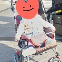 کالسکه کریر و روروئک