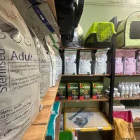 فروش غذا خشک گربه و سگ