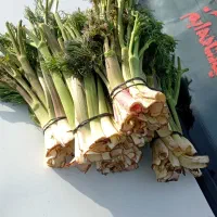 چخشور به تعداد بالا قیمت عمده فقط38  تکی 40