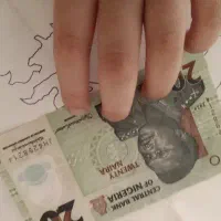 نایرا جدید ۲۰۲۴ نیجریه پلیمری