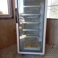 دستگاه جوجه کشی