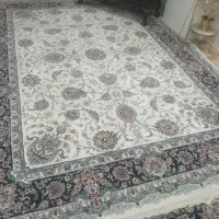 4 تخته فرش پاتریس 700 شانه کاملا سالم و نو|فرش|تهران, آذری|دیوار