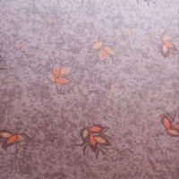 موکت درحدنو