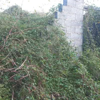 زمین باغی داخل طرح هادی شهر رشت