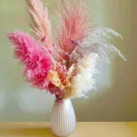 گل های زیبا مناسب دکوری پامپاس