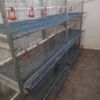 قفس بلدرچین