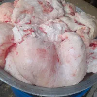 کله پاچه دومبه دلوجیگر فروشی|خوردنی و آشامیدنی|مسجد سلیمان, |دیوار