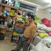 فروش انواع پرندگان|پرنده|قم, خاکفرج|دیوار