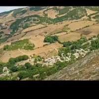 زمین ویلایی|فروش زمین و ملک کلنگی|مینودشت, |دیوار