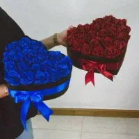 گل روبانی|گل مصنوعی|زابل, |دیوار