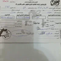 فروش گاو حامله دورگه محلی ۲۰روز تا زایمان|حیوانات مزرعه|فومن, |دیوار