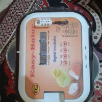 جوجه کشی ایزی باتور 6