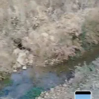 باغ-شهری-سپیدان